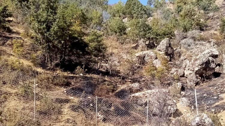 Gölbaşında ormanlık alanda çıkan örtü yangını söndürüldü