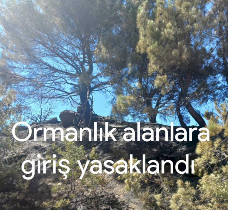 Ormanlık alanlara girişler yasaklandı