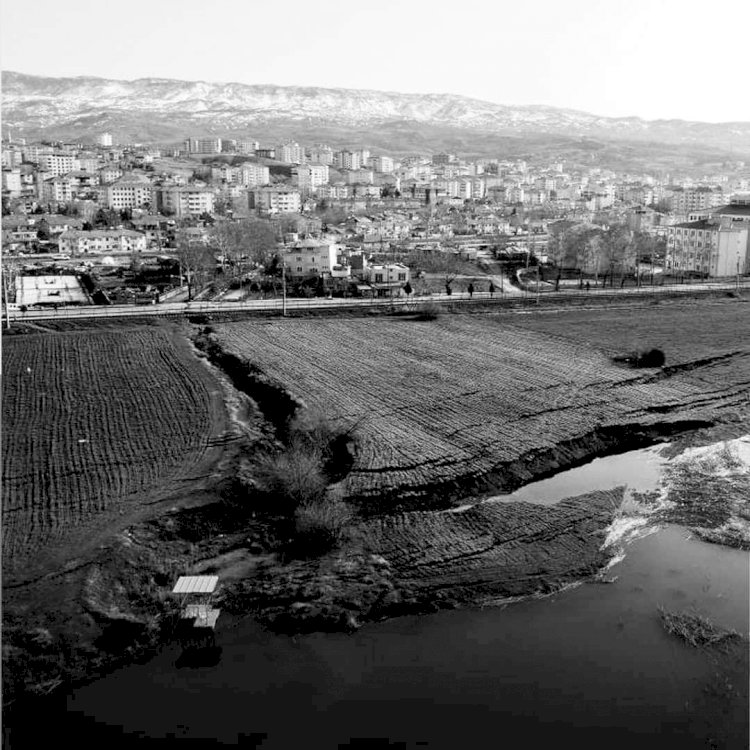 Vakitsiz bir üzüm bağının bozumudur, hepsi