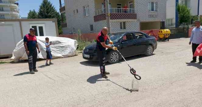 Evin bahçesine giren yılan yakalandı