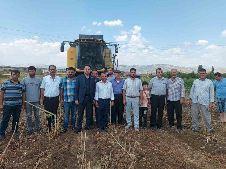 Kaymakam Seyhan ayçiçeği hasadına katıldı